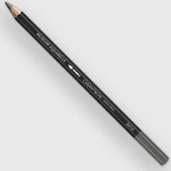 Caran d'Ache Museum 495 Slate Green - Little Painter Art | Exploring the Endless Possibilities of Art| Pigment
