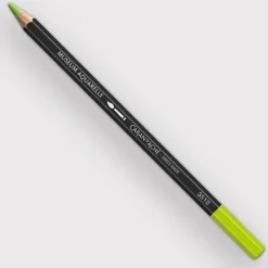 Caran d'Ache Museum 470 Spring green - Little Painter Art | Exploring the Endless Possibilities of Art| Pigment