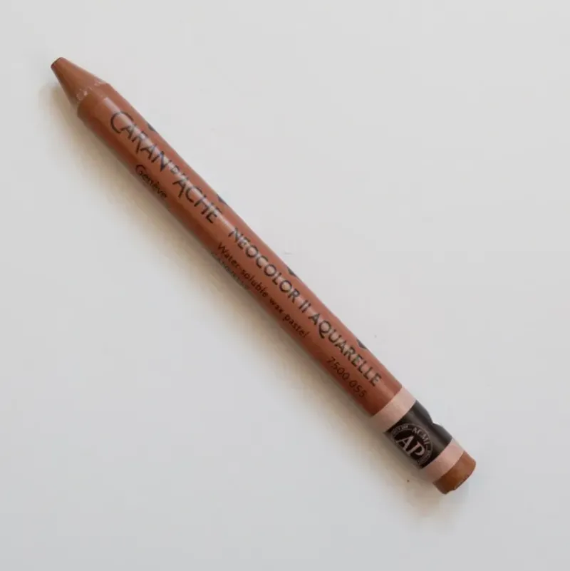 Caran d'Ache Neocolor II 005 Grey - Little Painter Art | Exploring the Endless Possibilities of Art| Shop All