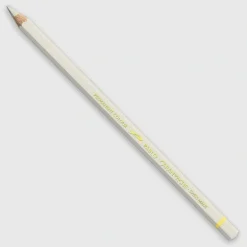 Caran d'Ache Pablo 401 Ash Grey - Little Painter Art | Exploring the Endless Possibilities of Art| Shop All