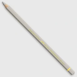 Caran d'Ache Pablo 403 Beige - Little Painter Art | Exploring the Endless Possibilities of Art| Shop All