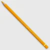 Caran d'Ache Pablo 020 Golden Yellow - Little Painter Art | Exploring the Endless Possibilities of Art| Shop All