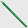 Caran d'Ache Pablo 220 Grass Green - Little Painter Art | Exploring the Endless Possibilities of Art| Shop All