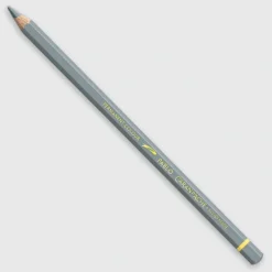 Caran d'Ache Pablo 005 Grey - Little Painter Art | Exploring the Endless Possibilities of Art| Shop All