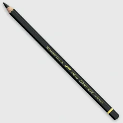 Caran d'Ache Pablo 496 Ivory Black - Little Painter Art | Exploring the Endless Possibilities of Art| Shop All