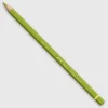 Caran d'Ache Pablo 016 Khaki Green - Little Painter Art | Exploring the Endless Possibilities of Art| Shop All