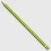 Caran d'Ache Pablo 245 Light Olive - Little Painter Art | Exploring the Endless Possibilities of Art| Shop All