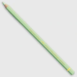 Caran d'Ache Pablo 221 Light Green - Little Painter Art | Exploring the Endless Possibilities of Art| Shop All