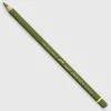 Caran d'Ache Pablo 249 Olive - Little Painter Art | Exploring the Endless Possibilities of Art| Shop All