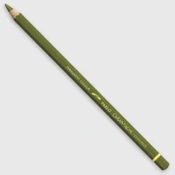 Caran d'Ache Pablo 249 Olive - Little Painter Art | Exploring the Endless Possibilities of Art| Shop All