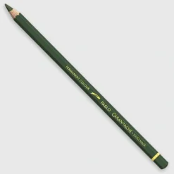 Caran d'Ache Pablo 019 Olive Black - Little Painter Art | Exploring the Endless Possibilities of Art| Shop All
