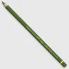 Caran d'Ache Pablo 018 Olive Grey - Little Painter Art | Exploring the Endless Possibilities of Art| Shop All
