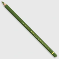 Caran d'Ache Pablo 018 Olive Grey - Little Painter Art | Exploring the Endless Possibilities of Art| Shop All