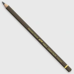 Caran d'Ache Pablo 049 Raw Umber - Little Painter Art | Exploring the Endless Possibilities of Art| Shop All