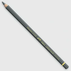 Caran d'Ache Pablo 495 Slate Grey - Little Painter Art | Exploring the Endless Possibilities of Art| Shop All
