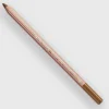 Caran d'Ache Pastel 047 Bistre - Little Painter Art | Exploring the Endless Possibilities of Art| Shop All
