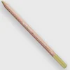 Caran d'Ache Pastel 736 Brown Olive 50% - Little Painter Art | Exploring the Endless Possibilities of Art| Shop All