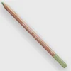 Caran d'Ache Pastel 212 Chromium Oxyde Green - Little Painter Art | Exploring the Endless Possibilities of Art| Shop All