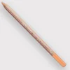 Caran d'Ache Pastel 042 Desert Rose - Little Painter Art | Exploring the Endless Possibilities of Art| Shop All