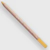 Caran d'Ache Pastel 820 Golden Bismuth Yellow - Little Painter Art | Exploring the Endless Possibilities of Art| Shop All
