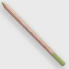 Caran d'Ache Pastel 243 Light Olive 20% - Little Painter Art | Exploring the Endless Possibilities of Art| Shop All