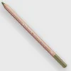 Caran d'Ache Pastel 017 Light Reseda - Little Painter Art | Exploring the Endless Possibilities of Art| Shop All