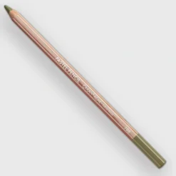 Caran d'Ache Pastel 017 Light Reseda - Little Painter Art | Exploring the Endless Possibilities of Art| Shop All