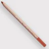 Caran d'Ache Pastel 064 Medium Russet - Little Painter Art | Exploring the Endless Possibilities of Art| Shop All