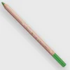 Caran d'Ache Pastel 234 Middle Moss Green 30% - Little Painter Art | Exploring the Endless Possibilities of Art| Shop All