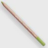 Caran d'Ache Pastel 232 Middle Moss Green 10% - Little Painter Art | Exploring the Endless Possibilities of Art| Shop All