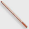 Caran d'Ache Pastel 044 Terracotta - Little Painter Art | Exploring the Endless Possibilities of Art| Shop All