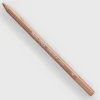 Caran d'Ache Pastel 741 Warm Earth 5% - Little Painter Art | Exploring the Endless Possibilities of Art| Shop All