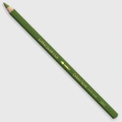Caran d'Ache Supracolor 018 Olive Grey - Little Painter Art | Exploring the Endless Possibilities of Art| Shop All