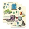 Cavallini Mini Notebook Set 3pk - Minerology, Mixed Paper - Little Painter Art | Exploring the Endless Possibilities of Art| Shop All