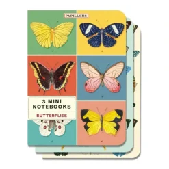 Cavallini Mini Notebook Set 3pk - Butterflies, Mixed Paper - Little Painter Art | Exploring the Endless Possibilities of Art| Shop All