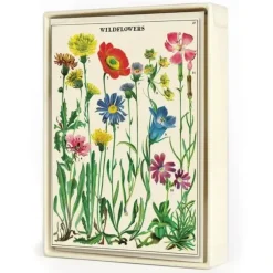 Cavallini Notecards 8pk - Wildflowers - Little Painter Art | Exploring the Endless Possibilities of Art| Hot