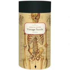 Cavallini 1000pc Vintage Puzzle - Skeletal System - Little Painter Art | Exploring the Endless Possibilities of Art| Shop All