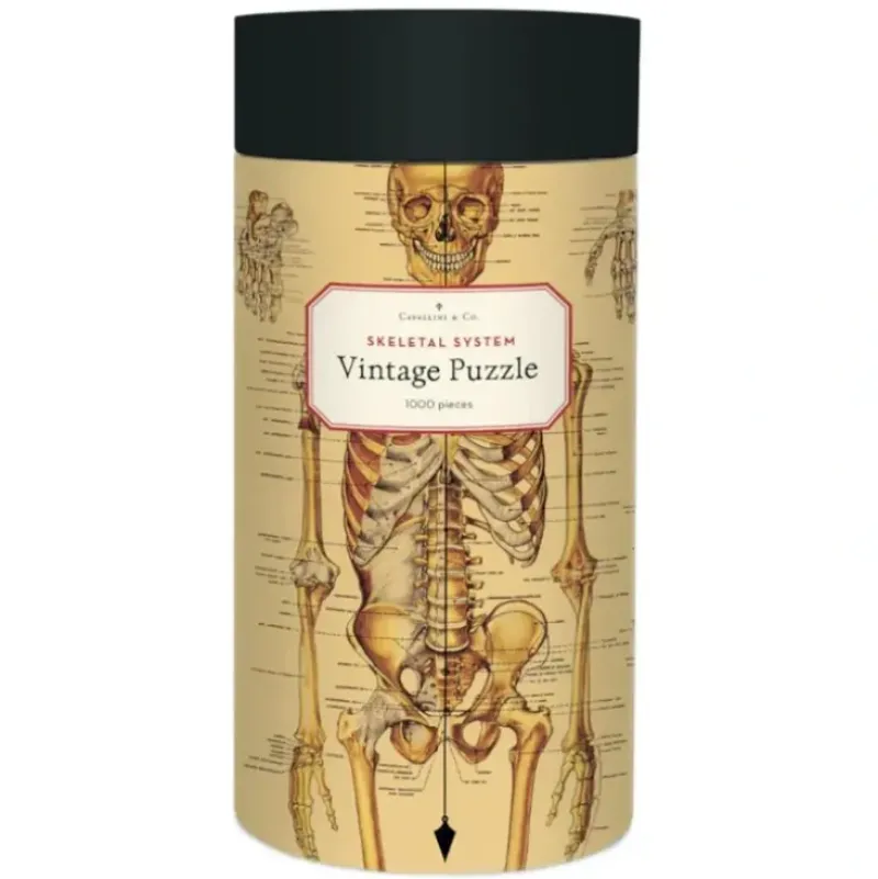 Cavallini 1000pc Vintage Puzzle - Skeletal System - Little Painter Art | Exploring the Endless Possibilities of Art| Shop All
