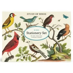 Cavallini Stationery Set - Birds - Little Painter Art | Exploring the Endless Possibilities of Art| Shop All