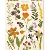 Cavallini Vintage Art Poster - Pressed Flowers - Little Painter Art | Exploring the Endless Possibilities of Art| Shop All