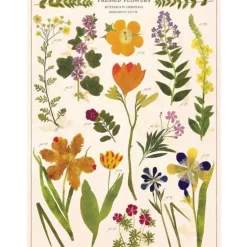 Cavallini Vintage Art Poster - Pressed Flowers - Little Painter Art | Exploring the Endless Possibilities of Art| Shop All