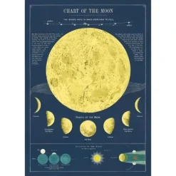 Cavallini Vintage Art Poster - Moon Chart - Little Painter Art | Exploring the Endless Possibilities of Art| Shop All