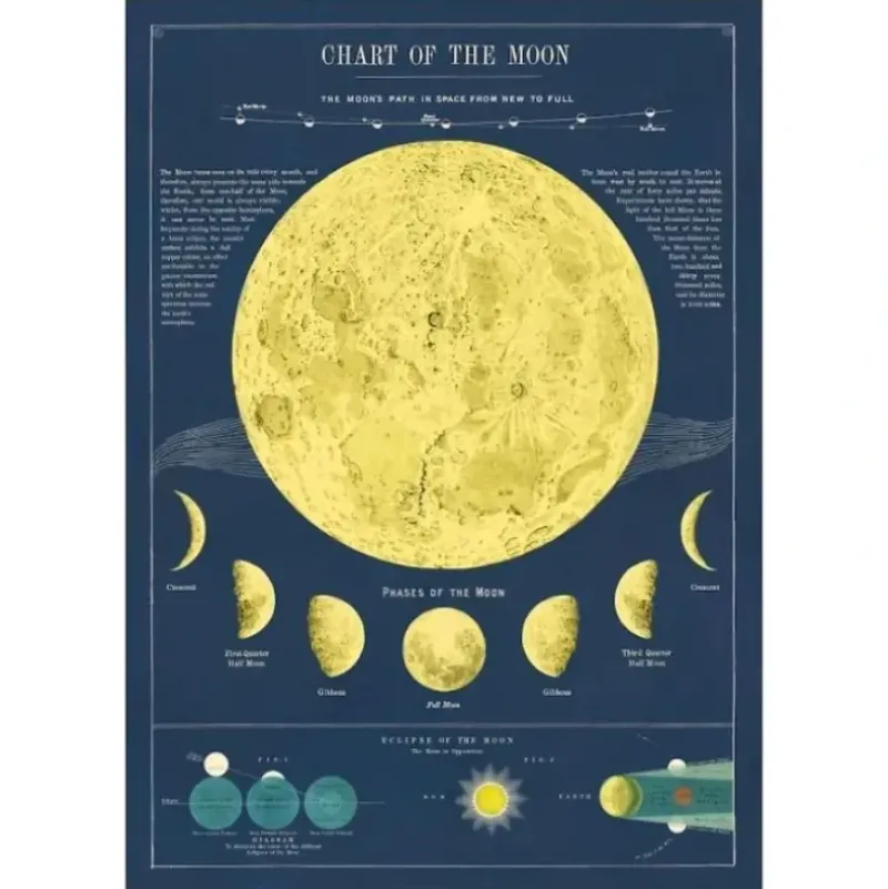 Cavallini Vintage Art Poster - Moon Chart - Little Painter Art | Exploring the Endless Possibilities of Art| Shop All