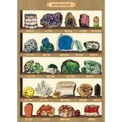 Cavallini Vintage Art Poster - Mineralogy Shelf - Little Painter Art | Exploring the Endless Possibilities of Art| Shop All