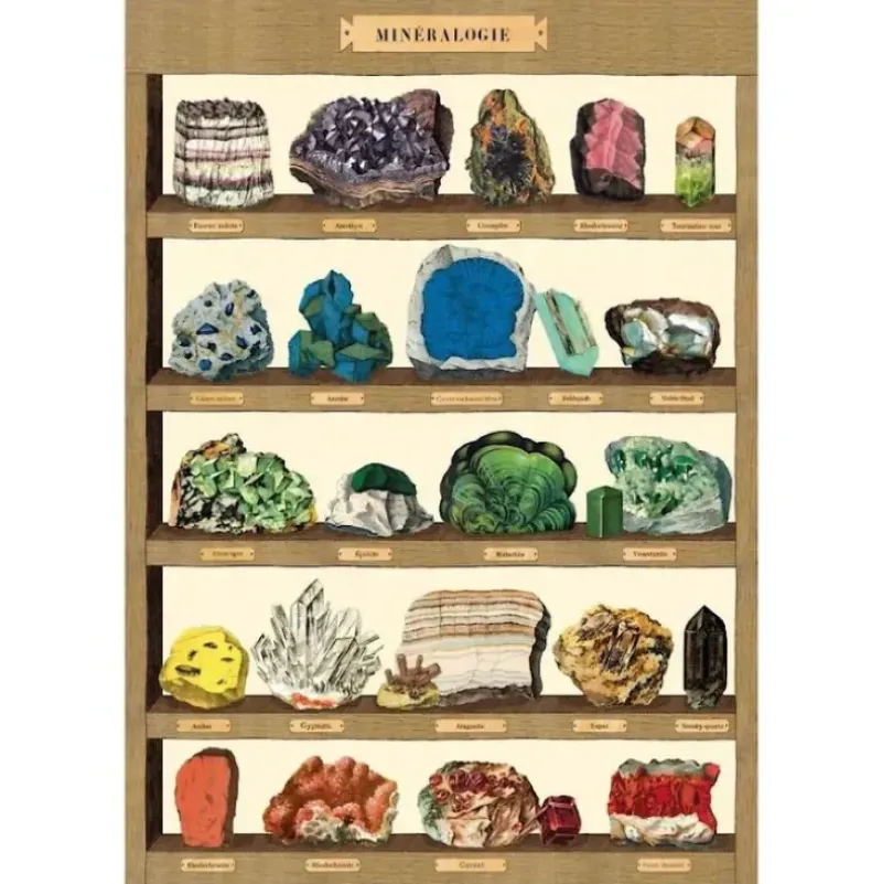 Cavallini Vintage Art Poster - Mineralogy Shelf - Little Painter Art | Exploring the Endless Possibilities of Art| Shop All
