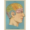 Cavallini Vintage Art Poster - Phrenology - Little Painter Art | Exploring the Endless Possibilities of Art| Shop All