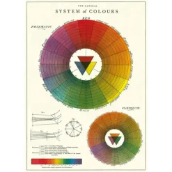 Cavallini Vintage Art Poster - Colour Wheel - Little Painter Art | Exploring the Endless Possibilities of Art| Shop All