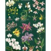 Cavallini Vintage Art Poster - Orchid - Little Painter Art | Exploring the Endless Possibilities of Art| Shop All