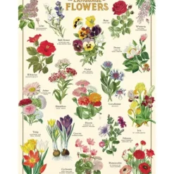 Cavallini Vintage Art Poster - Language of Flowers - Little Painter Art | Exploring the Endless Possibilities of Art| Shop All