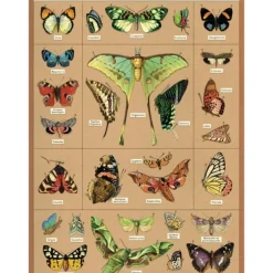 Cavallini Vintage Art Poster - Entomology - Little Painter Art | Exploring the Endless Possibilities of Art| Shop All